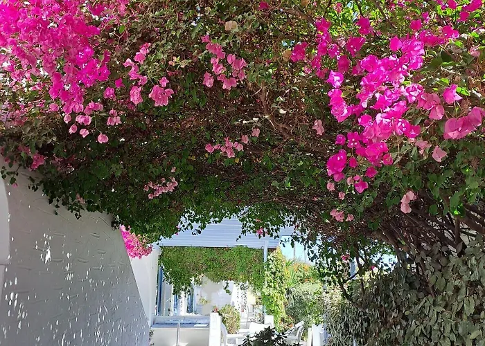 Lägenhetshotell Stratos &